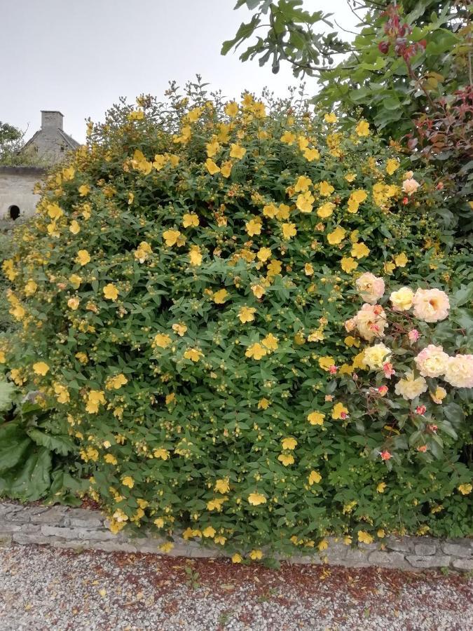 Tracy-sur-Mer Victoria Arromanches B&B المظهر الخارجي الصورة